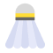Badminton ball